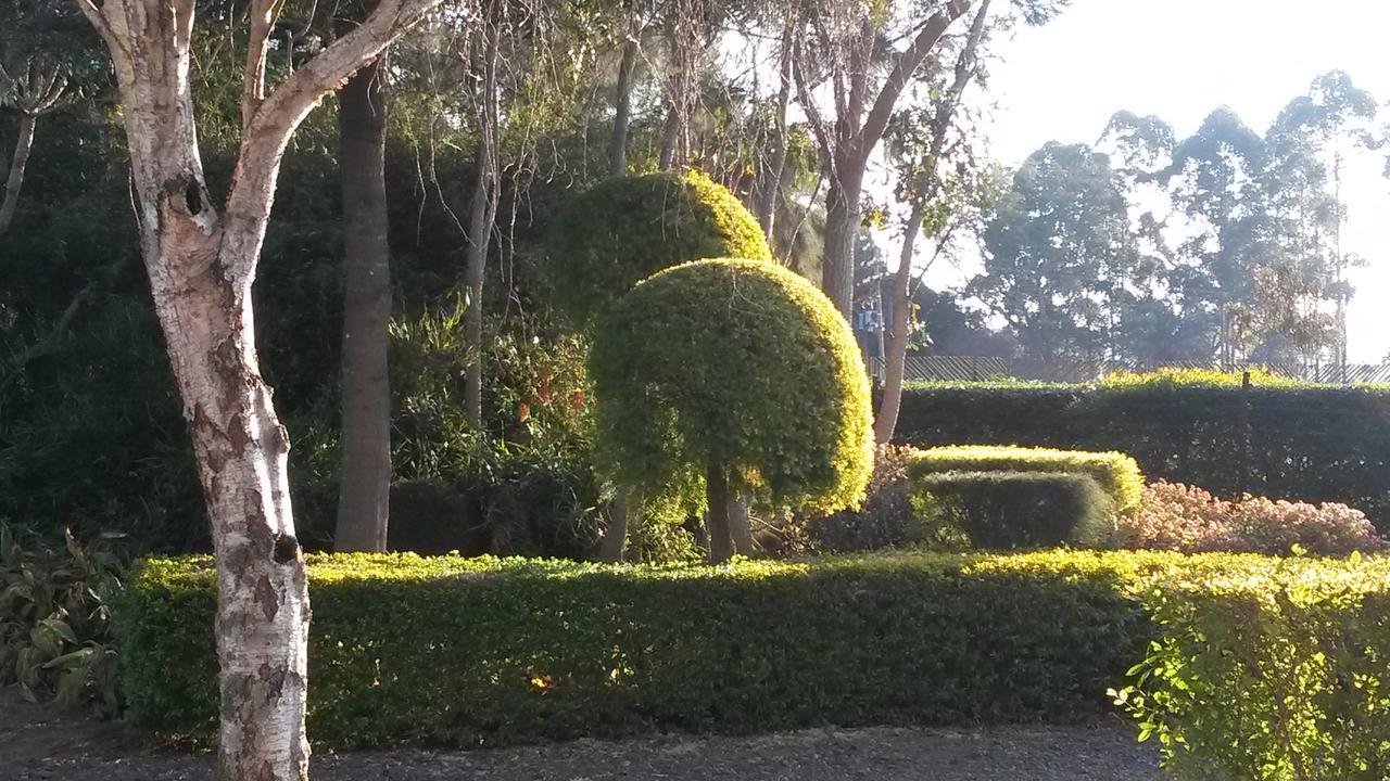แอฟริกัน แฟลร์ คันทรี ลอดจ์ Bed & Breakfast Piet Retief ภายนอก รูปภาพ
