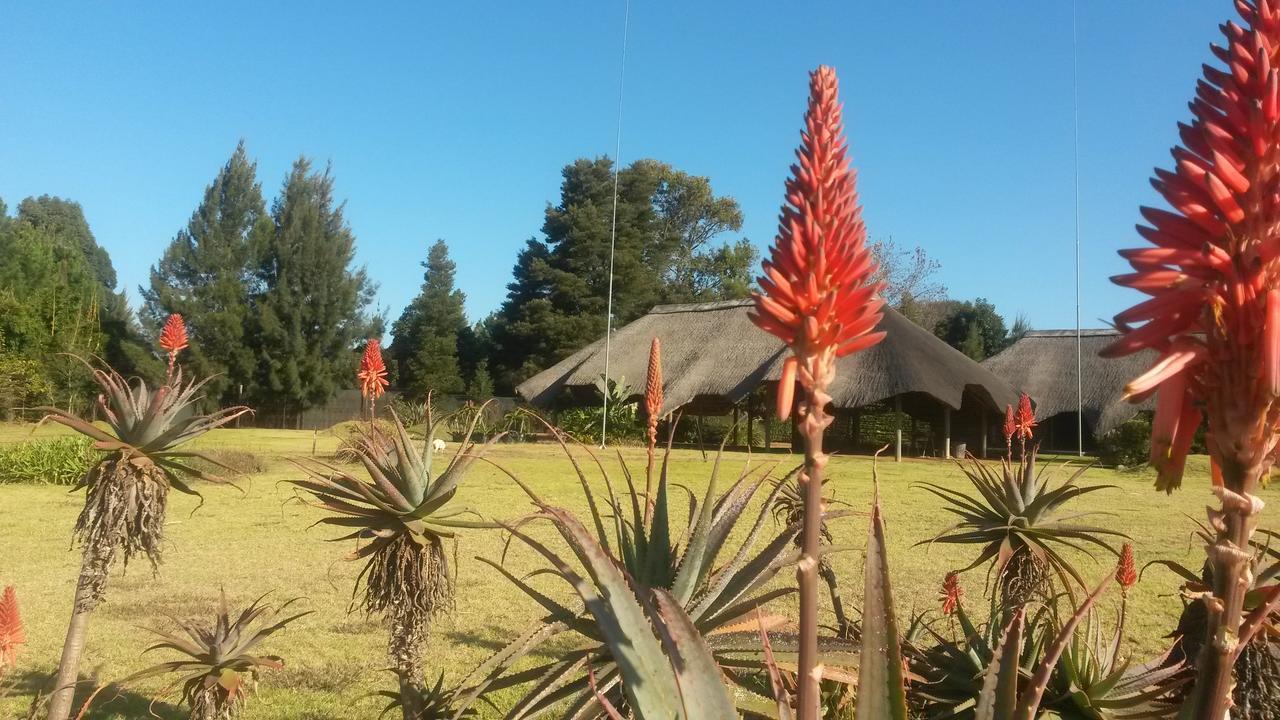 แอฟริกัน แฟลร์ คันทรี ลอดจ์ Bed & Breakfast Piet Retief ภายนอก รูปภาพ