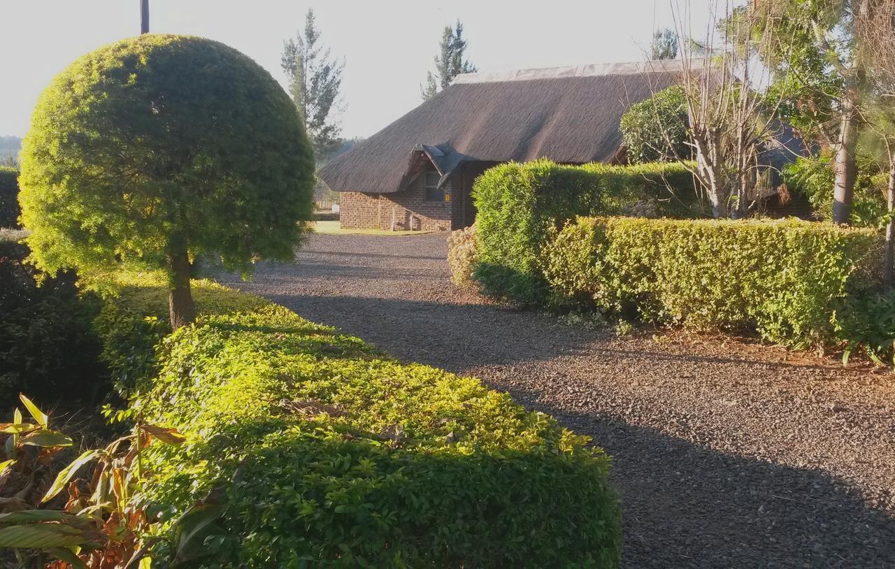 แอฟริกัน แฟลร์ คันทรี ลอดจ์ Bed & Breakfast Piet Retief ภายนอก รูปภาพ