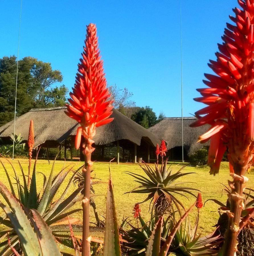 แอฟริกัน แฟลร์ คันทรี ลอดจ์ Bed & Breakfast Piet Retief ภายนอก รูปภาพ