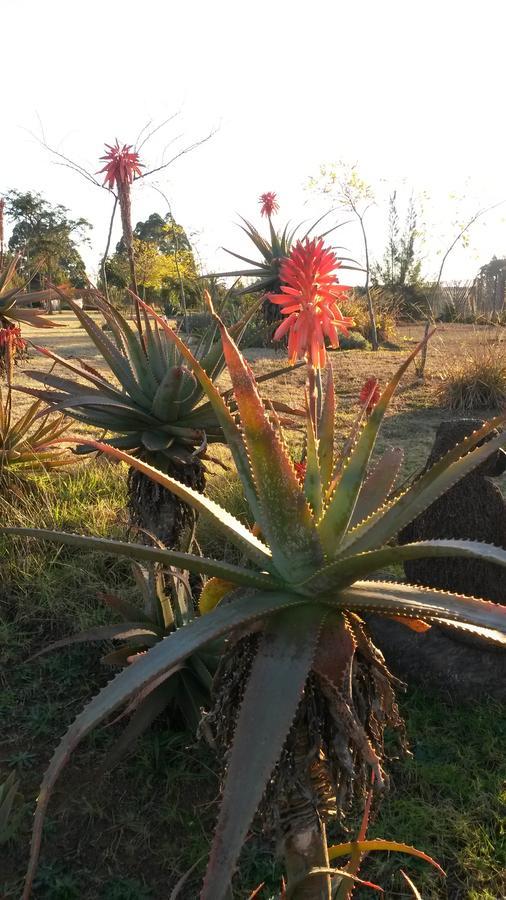 แอฟริกัน แฟลร์ คันทรี ลอดจ์ Bed & Breakfast Piet Retief ภายนอก รูปภาพ