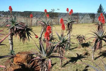 แอฟริกัน แฟลร์ คันทรี ลอดจ์ Bed & Breakfast Piet Retief ภายนอก รูปภาพ
