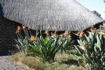 แอฟริกัน แฟลร์ คันทรี ลอดจ์ Bed & Breakfast Piet Retief ภายนอก รูปภาพ