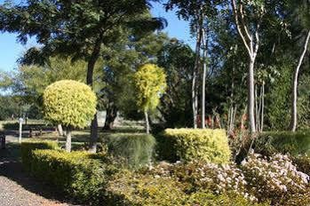 แอฟริกัน แฟลร์ คันทรี ลอดจ์ Bed & Breakfast Piet Retief ภายนอก รูปภาพ